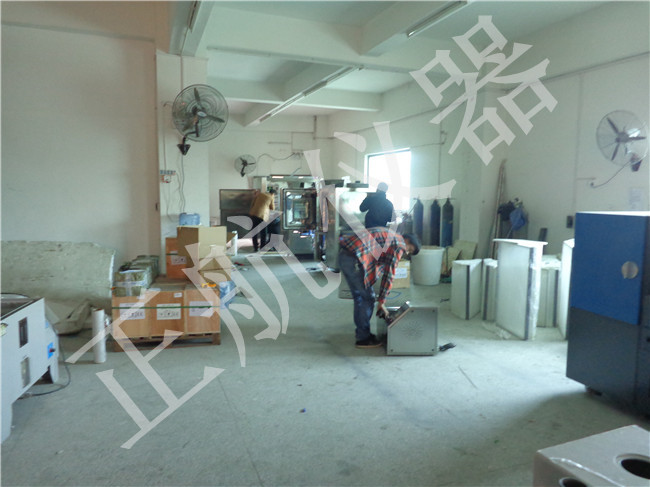 �����x���S��Ԕ���D